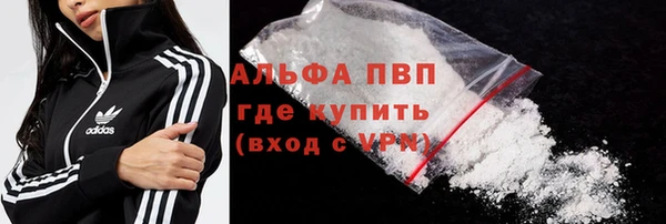 молекула духа Вяземский