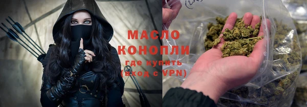 молекула духа Вяземский