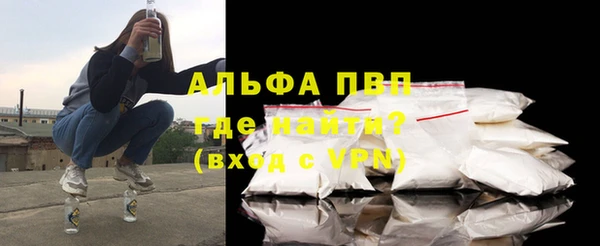 молекула духа Вяземский