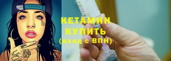 молекула духа Вяземский