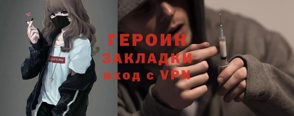 молекула духа Вяземский