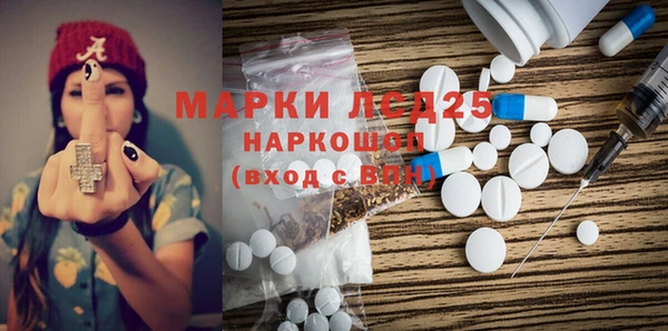 молекула духа Вяземский