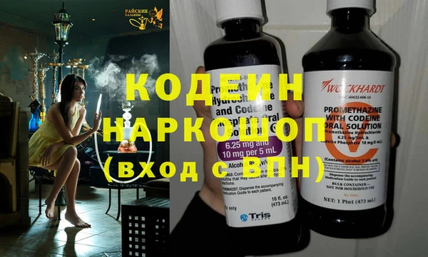 молекула духа Вяземский