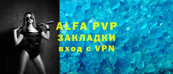 прущие грибы Сосновоборск