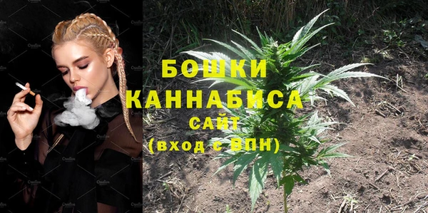 хмурый Гусиноозёрск