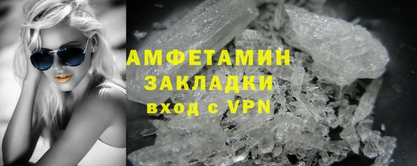 молекула духа Вяземский