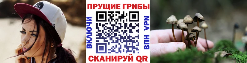 Галлюциногенные грибы мухоморы  Елизово 